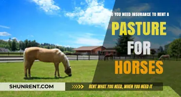 Horse Pasture Insurance: What You Need to Know