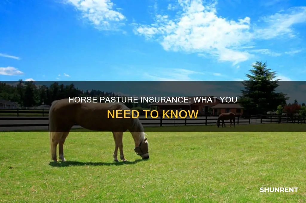 do you need insurance to rent a pasture for horses