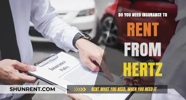 Hertz Rental Insurance: What You Need to Know