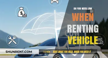 Should You Add Loss Damage Waiver to Your Rental Car?