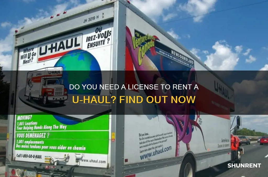 do you need license to rent uhaul