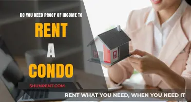 Proof of Income: A Must-Have When Renting a Condo?