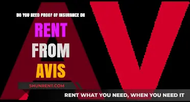 Avis Rental Insurance: Do You Need Extra Coverage?