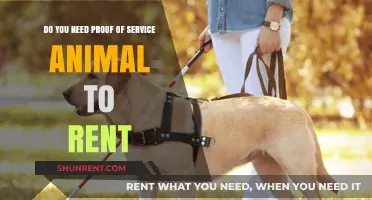 Service Animals: Renting Rights and Requirements