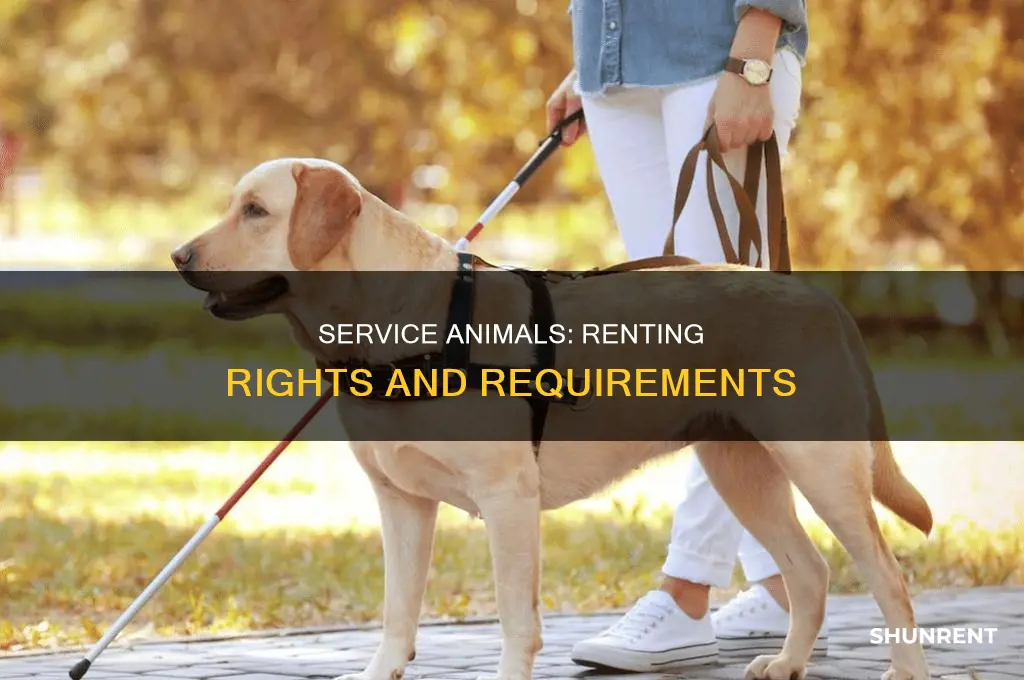 do you need proof of service animal to rent