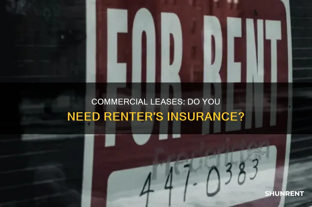 do you need renter