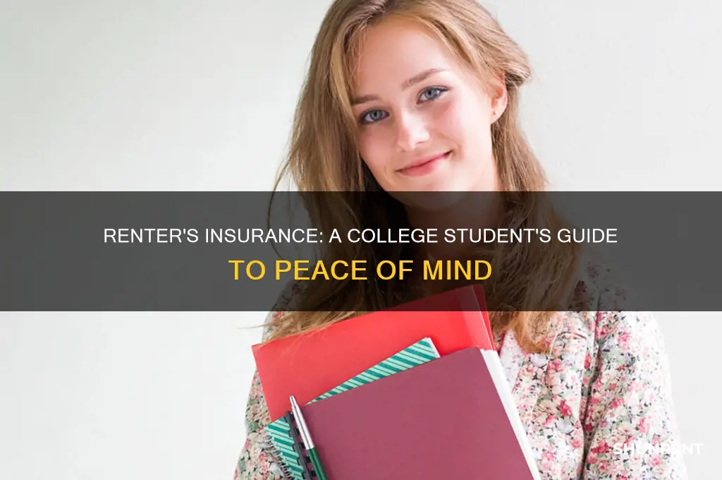 do you need renter
