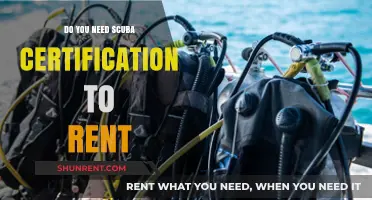Scuba Certification Requirements: Do You Need It to Rent Gear?