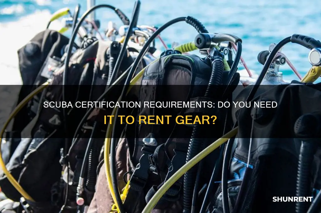 do you need scuba certification to rent