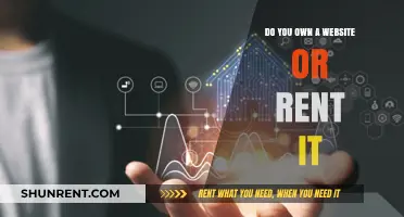 Website Ownership: Renting vs Owning