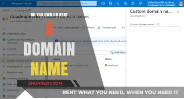 Domain Names: Rent or Buy?