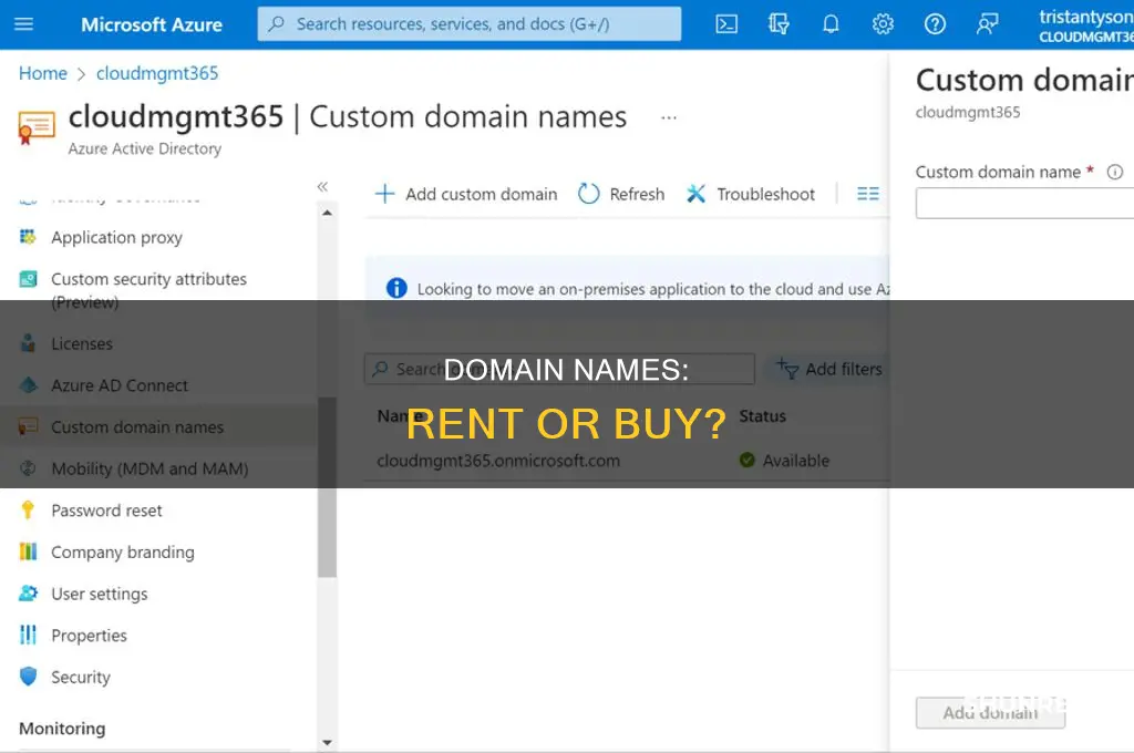 do you own or rent a domain name