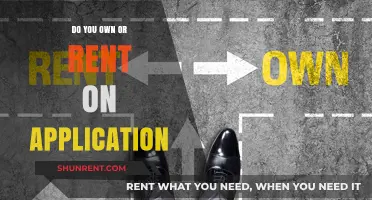 Own vs. Rent: Navigating Application Deployment Strategies for Your Business
