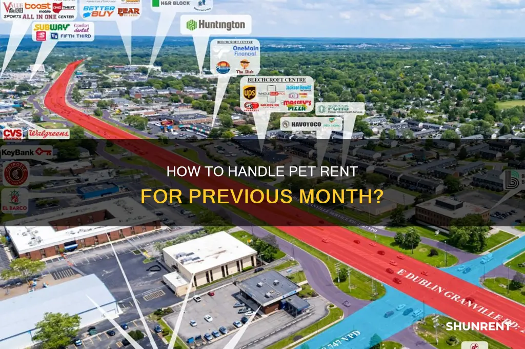 do you pet rent for the previous month