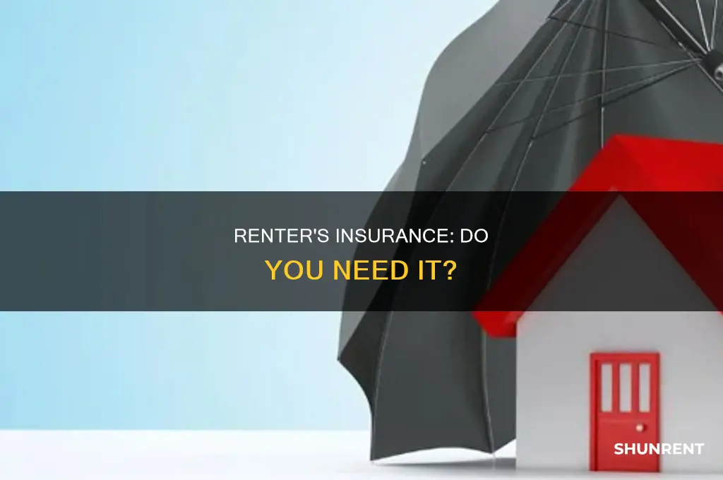 do you really need renter