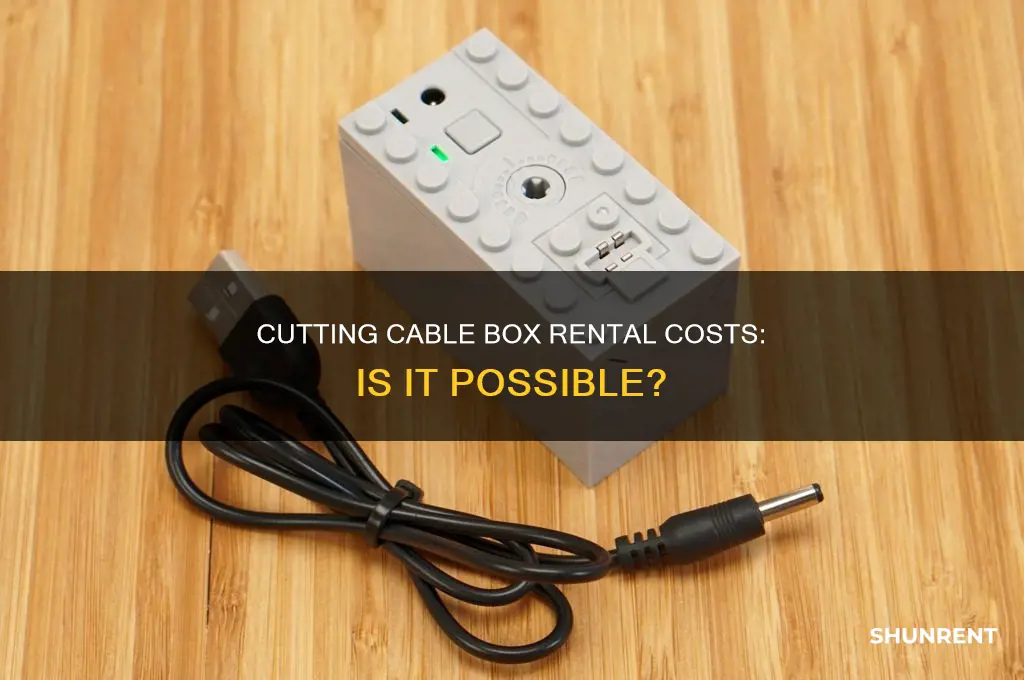 do you really need to rent a cable box