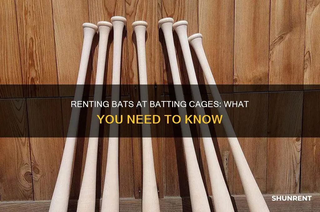 do you rent bats at batting cages