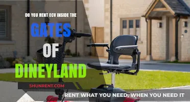 Where to Rent ECVs Inside Disneyland