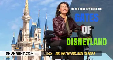 Renting ECVs: Exploring Disneyland with Ease