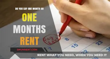 Rent Payment: Month or Months?
