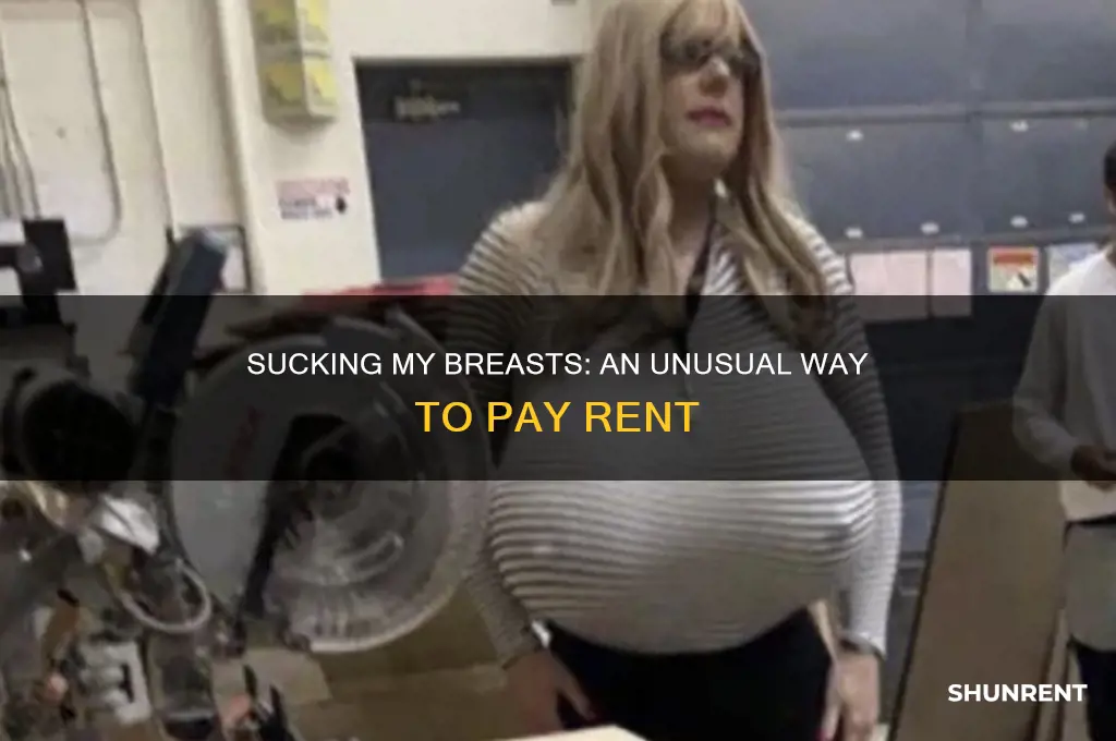 do you want to suck my tits for rent