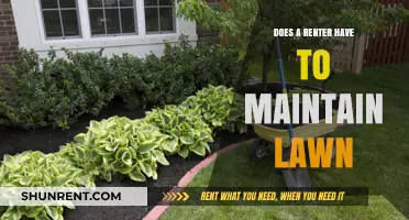 Who's Responsible for Lawn Care: Tenant or Landlord?