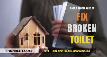 Who Fixes a Broken Toilet in a Rental?