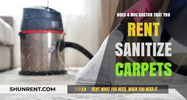 How Rug Doctor Rentals Sanitize Your Carpet
