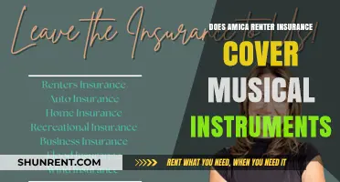 Does Amica Renter's Insurance Cover Musical Instruments? A Guide