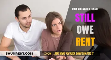 Evicted Tenants and Rent: Understanding Post-Eviction Financial Obligations