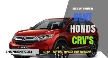 Renting a Honda CR-V: Where to Find Available Options