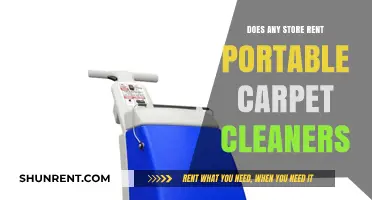 Where to Rent Portable Carpet Cleaners: A Comprehensive Store Guide