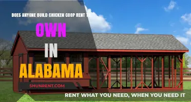 Alabama Rent-to-Own Chicken Coops: An Option?