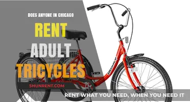 Chicago Adult Tricycle Rentals: Are They Available for Rent?