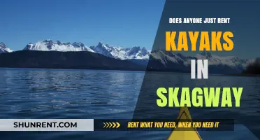 Kayak Rentals in Skagway: Exploring Options for Adventurers and Tourists