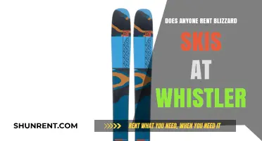 Renting Blizzard Skis at Whistler: Availability, Options, and Tips