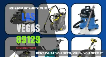 Las Vegas Carpet Cleaning: Renting Equipment for Your Home
