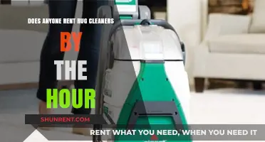Renting Rug Cleaners: Hourly Rates and Options
