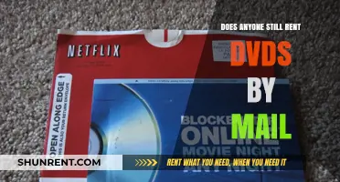 Are DVD Rental Services by Mail Still Relevant Today?