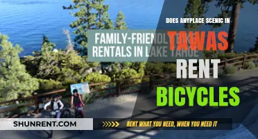 Scenic Tawas Bicycle Rentals: Exploring Nature's Beauty on Two Wheels