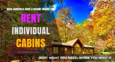 Asheville Cabin Resort Getaways: Your Private Mountain Escape