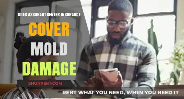 Does Assurant Renter's Insurance Cover Mold Damage? What You Need to Know