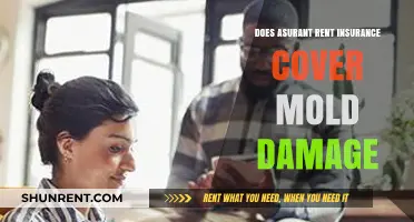 Does Asurant Renters Insurance Cover Mold Damage? What You Need to Know