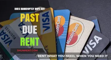 Bankruptcy and Past Due Rent: Can You Erase Rental Debt?