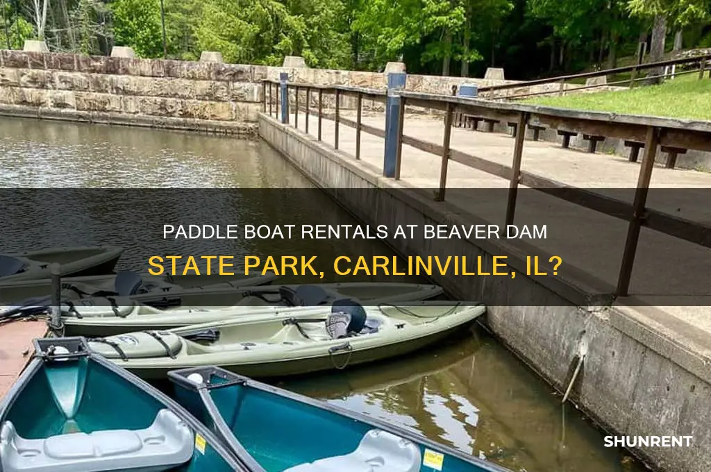 does beaver dam state park carlinville il rent paddle boats