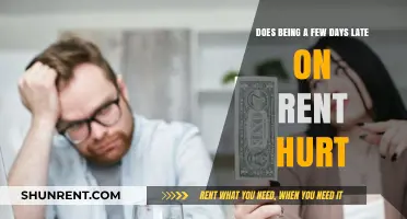 Late Rent: What Are the Real Consequences?