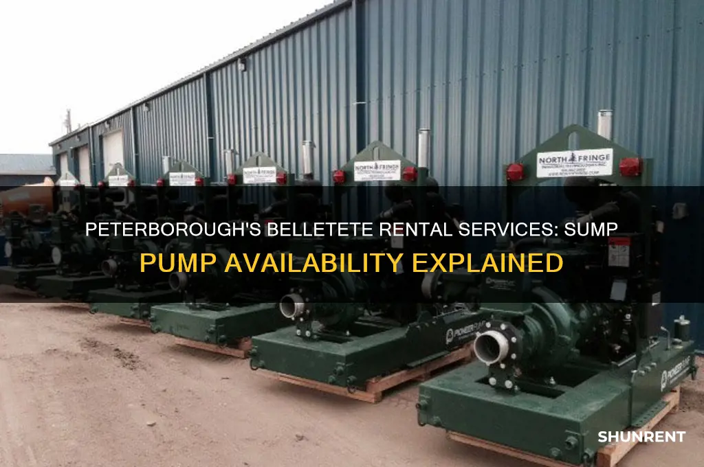 does belletetes in peterborough rent sump pumps