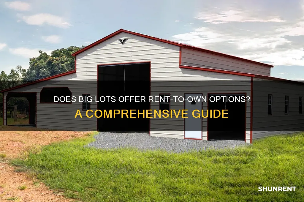 does big lots do rent to own