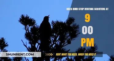 Bird Scooter Rentals: Why the Early Evening Cut-Off?