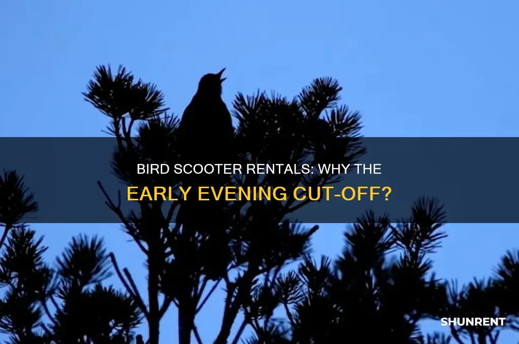 does bird stop renting scooters at 9 00 pm